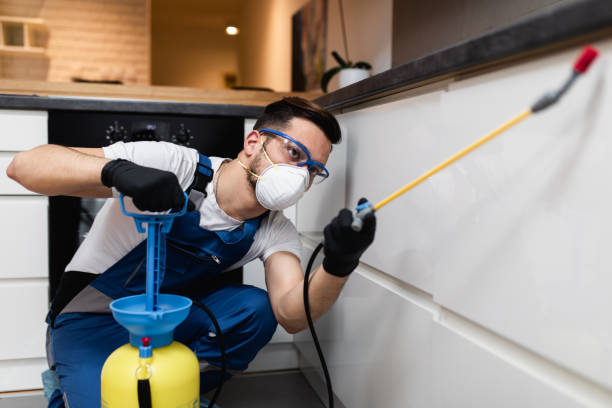 Pest Prevention Services in Boaz, AL