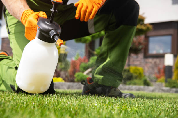 Best Best Pest Control Companies  in Boaz, AL