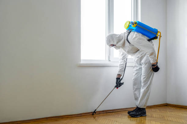 Best Local Pest Control Services  in Boaz, AL