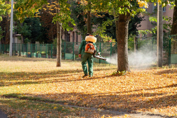 Best Pest Control Near Me  in Boaz, AL